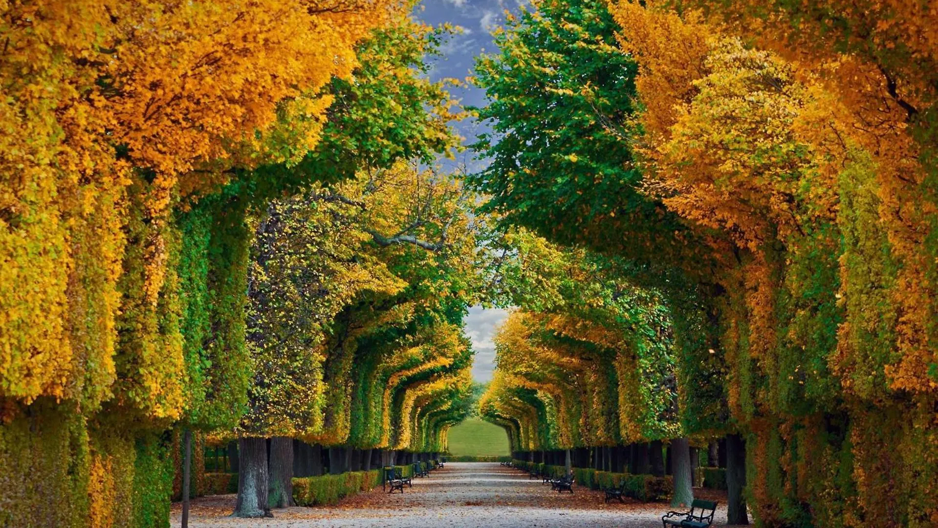 Imperial Schoenbrunn Stays Vienna Apartment